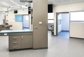 Clear PVC Swing door