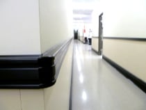 Remax Hospital Healthcare Bumpshield